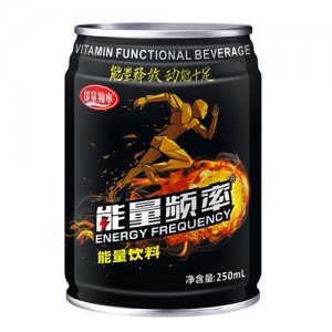 中仸能量頻率?；撬釓?qiáng)化型風(fēng)味飲料250ml