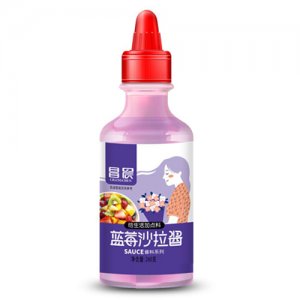 昌晨藍(lán)莓沙拉醬260克