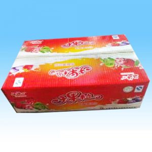 牛牛樂(lè)大果粒乳味飲料箱裝
