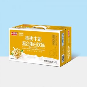 鴻博核桃牛奶復(fù)合蛋白飲品250ml×20盒