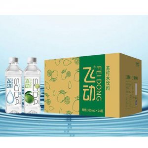 飛動(dòng)蘇打水飲料
