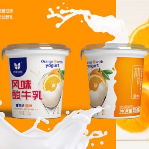 優(yōu)卓優(yōu)享橙風(fēng)味酸牛乳120g