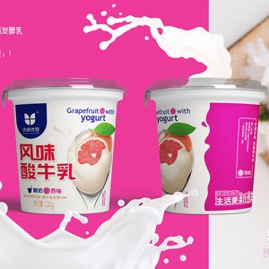 優(yōu)卓優(yōu)享西柚風(fēng)味酸牛乳120g