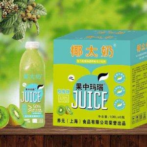 椰太奶果中瑪瑙獼猴桃
