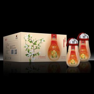冬寶橙汁489ml