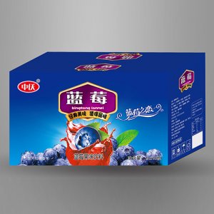 中仸藍(lán)莓果味飲料箱裝