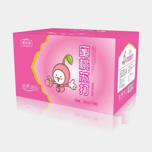 愛(ài)尚客蜜桃蘇打外箱 400ml×24瓶 果味蘇打飲料