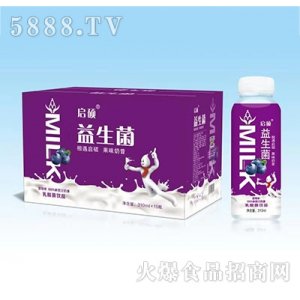 啟碩益生菌奶昔乳酸菌飲品藍(lán)莓味310ml15瓶