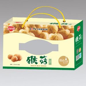金嬌陽(yáng)猴菇養(yǎng)生奶苗條磚250ml×10盒