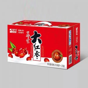 山東鴻博 大紅棗牛奶250mlx20盒