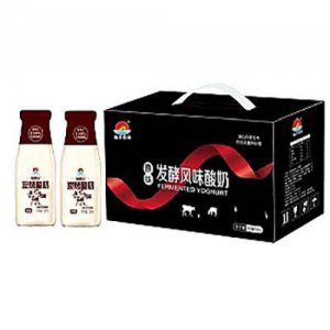 旭日食品發(fā)酵風味酸奶炭燒箱裝