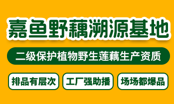 湖北麥克森生物技術(shù)有限公司