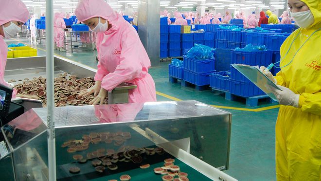 寵物食品第三股來了！ OEM 模式為主，能吃到寵物市場大蛋糕嗎？.jpg