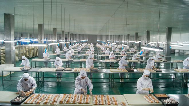 寵物食品第三股來了！ OEM 模式為主，能吃到寵物市場大蛋糕嗎？1.jpg
