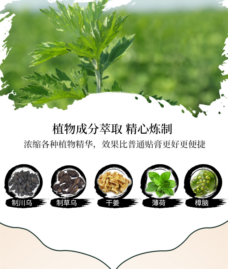 艾草貼（頸肩型）詳情_(kāi)06.jpg