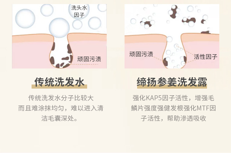 清療酵素蛋白護發(fā)素柔順絲滑改善干枯毛躁修復(fù)燙染受損護發(fā)素 (6).jpg