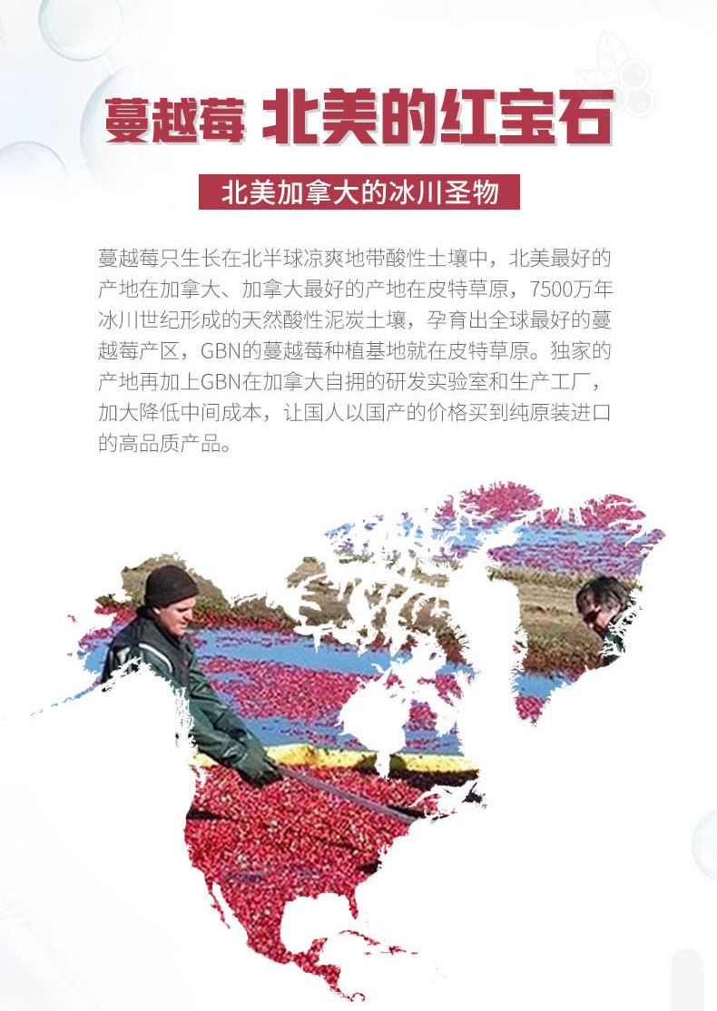 小紅針_10.jpg