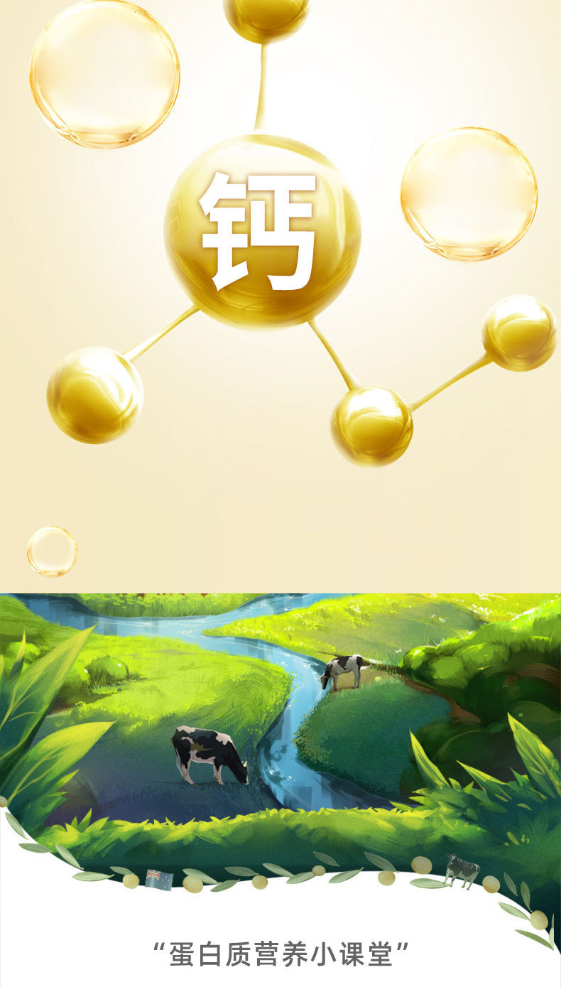 4-詳情圖.jpg