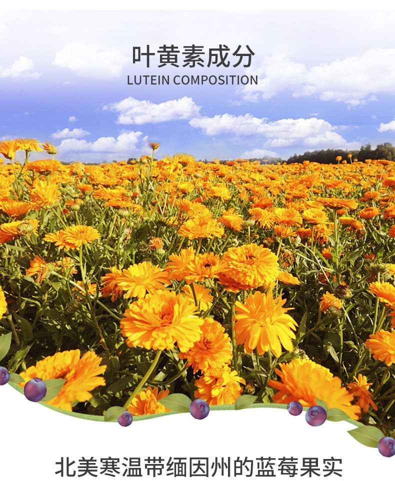6-詳情圖.jpg