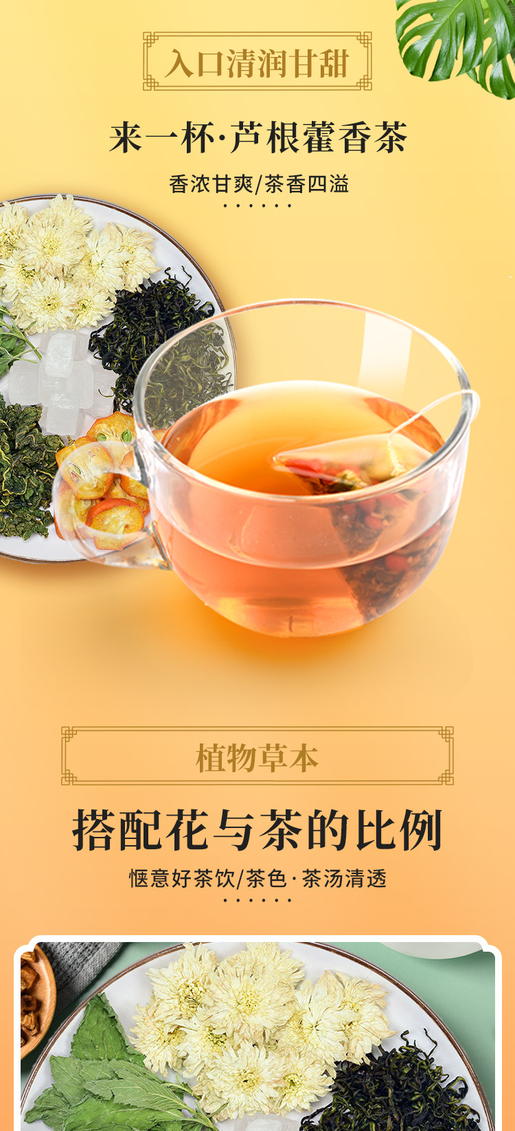 蘆根藿香茶 (3).jpg