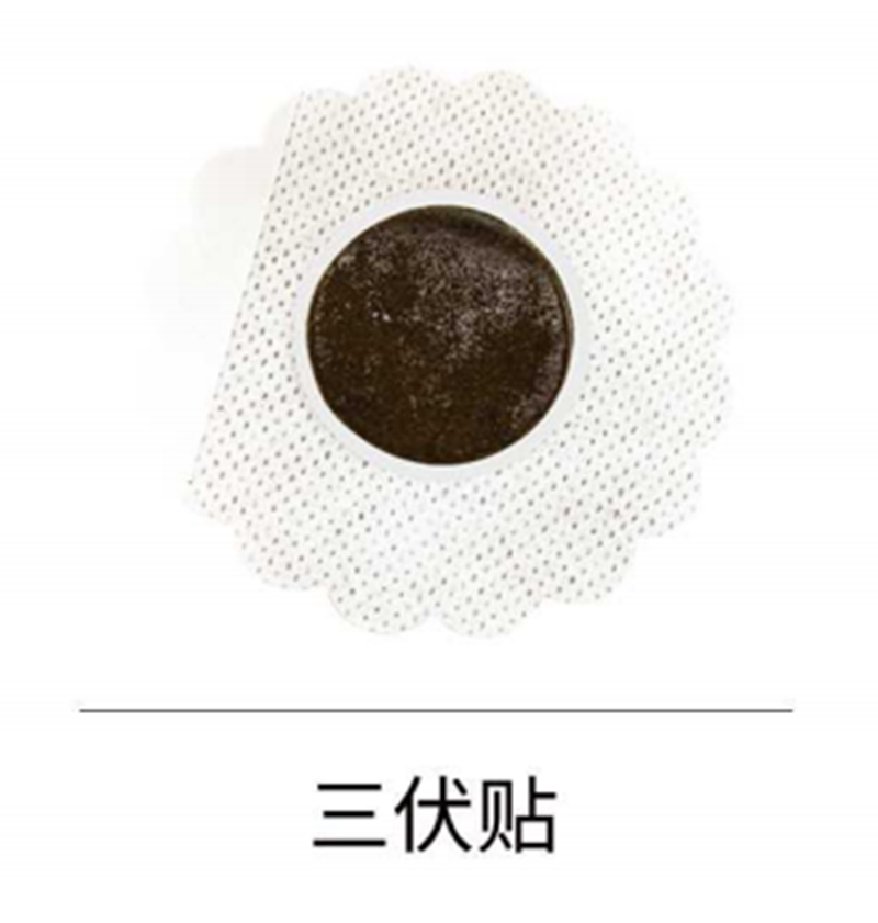 三伏貼源頭工廠,價格實惠跟隨大牌的腳步