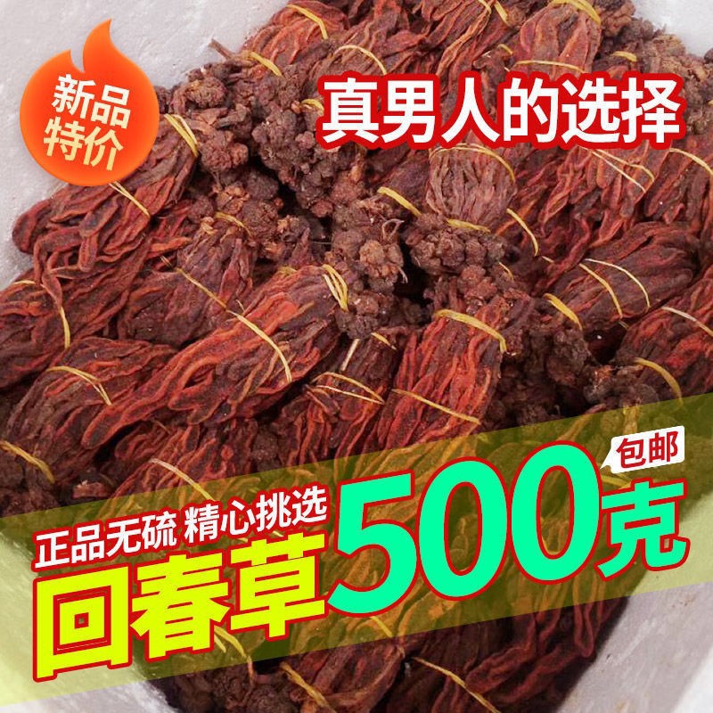 云南回春草野生500克 新貨正品擎天柱回春草批發(fā)價 干貨 一手貨源.jpg