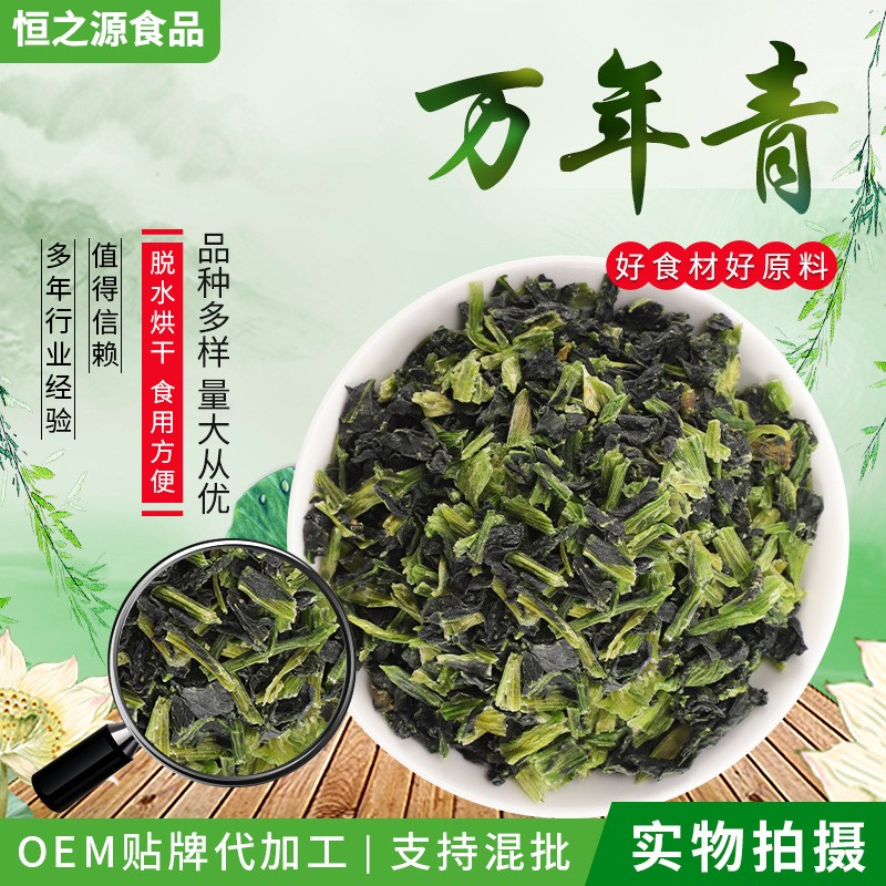 脫水蔬菜萬年青 散裝脫水干菜涼拌菜 脫水菜心 批發(fā)供應(yīng)量大價(jià)優(yōu).jpg