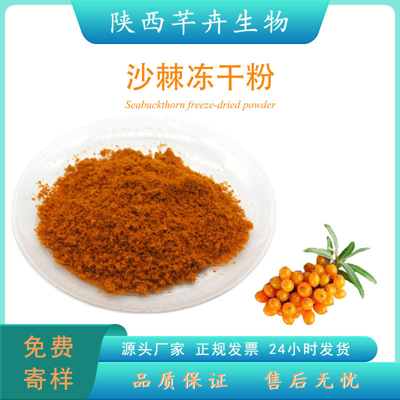 沙棘凍干粉99% 沙棘果提取物 食品級(jí)沙棘鮮果粉 冷凍干燥100g包郵.jpg