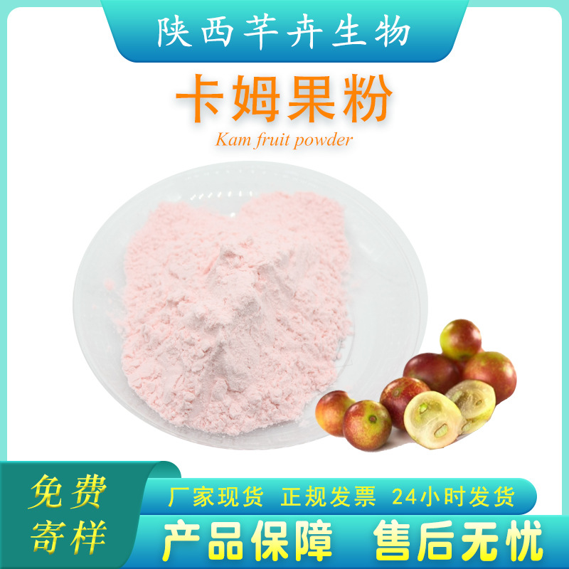 卡姆果粉 99% 卡姆果汁粉 卡姆果提取物 卡姆梅萃取汁粉 現(xiàn)貨包郵.jpg