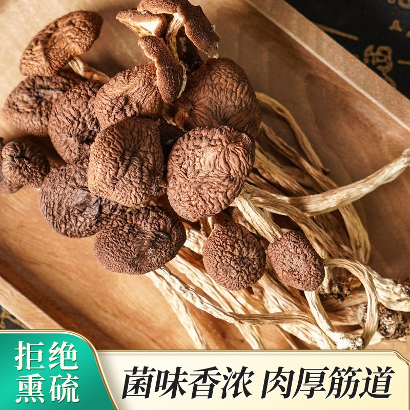 廠家現(xiàn)貨茶樹菇干貨批發(fā)家用商用煲湯炒菜袋裝干茶樹菇一件代發(fā).jpg