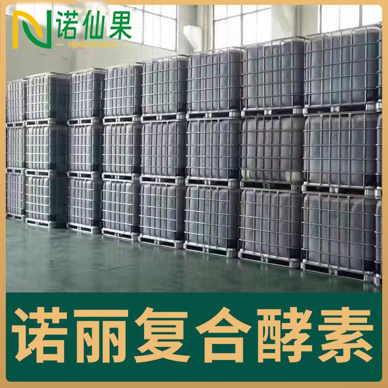 諾麗復(fù)合酵素.jpg