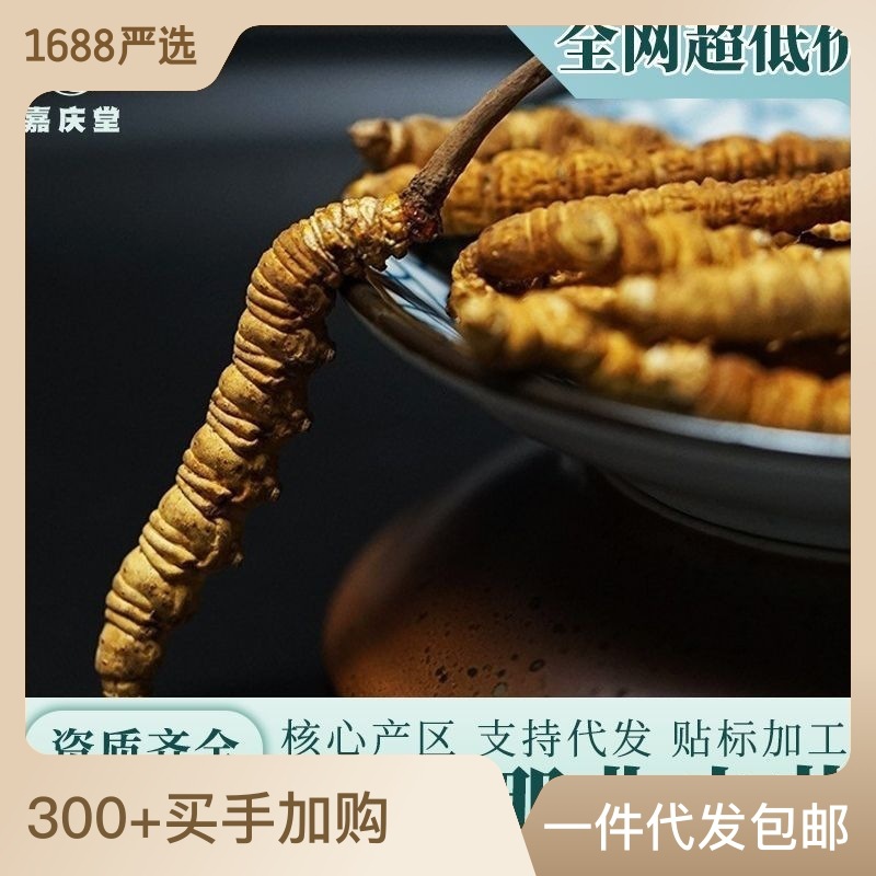 西藏那曲冬蟲夏草正品凍干 傳統(tǒng)滋補品營養(yǎng)品 蟲草干貨源頭批發(fā).jpg