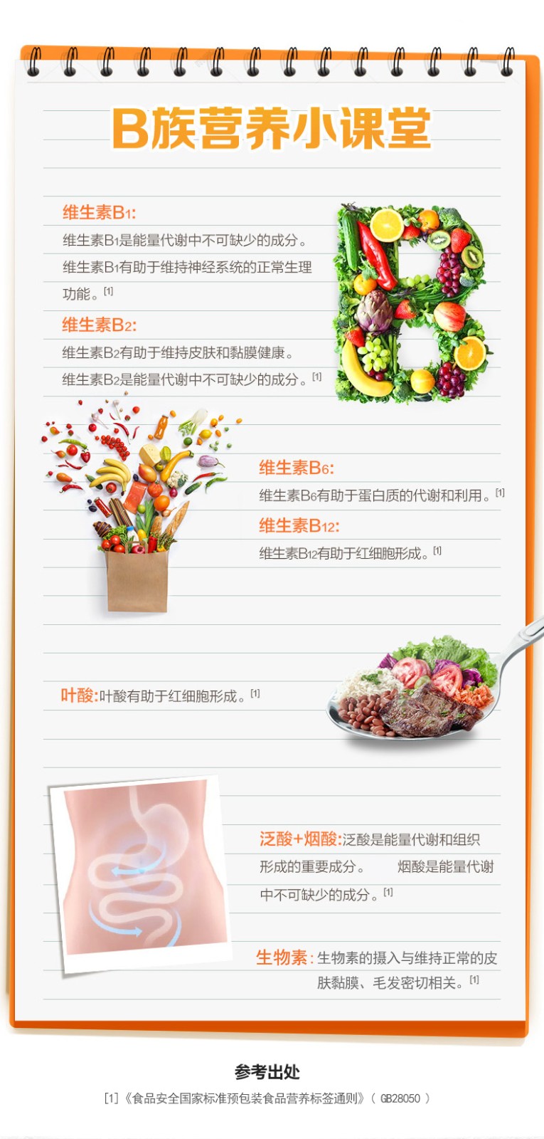 B族詳情_(kāi)03.jpg
