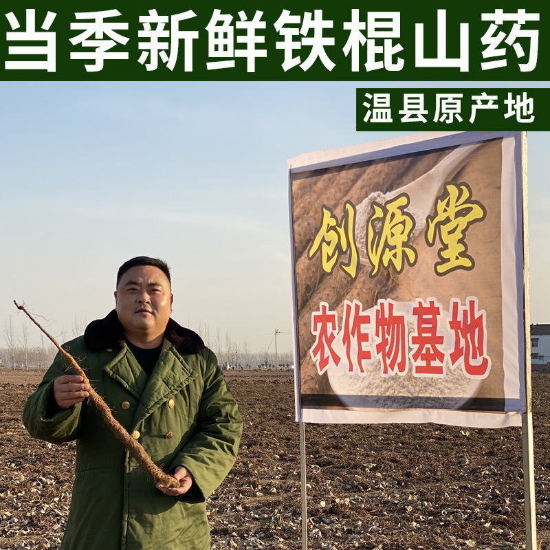 新鮮鐵棍山藥oem代加工,加工品類您知道嗎?