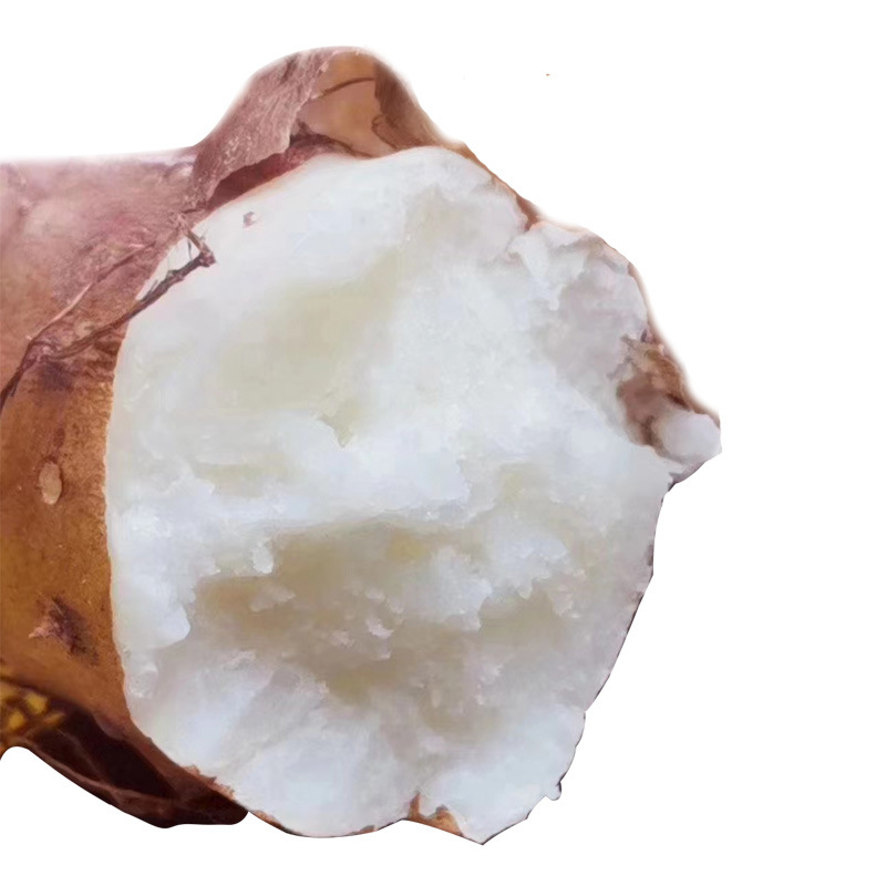 廠家批發(fā)新鮮鐵棍山藥河南特產(chǎn)焦作壚土鐵棍山藥溫縣鐵桿懷山藥棍3.jpg