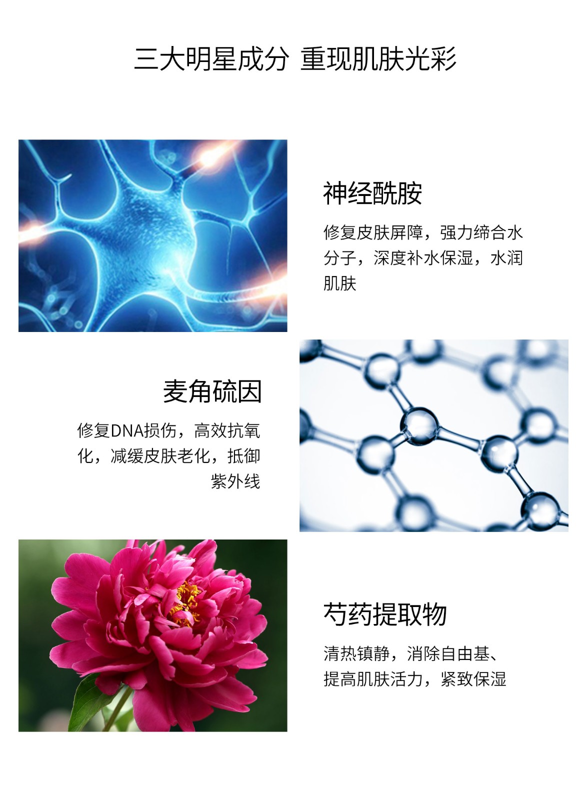 神經(jīng)酰胺深度安膚乳液_06.jpg