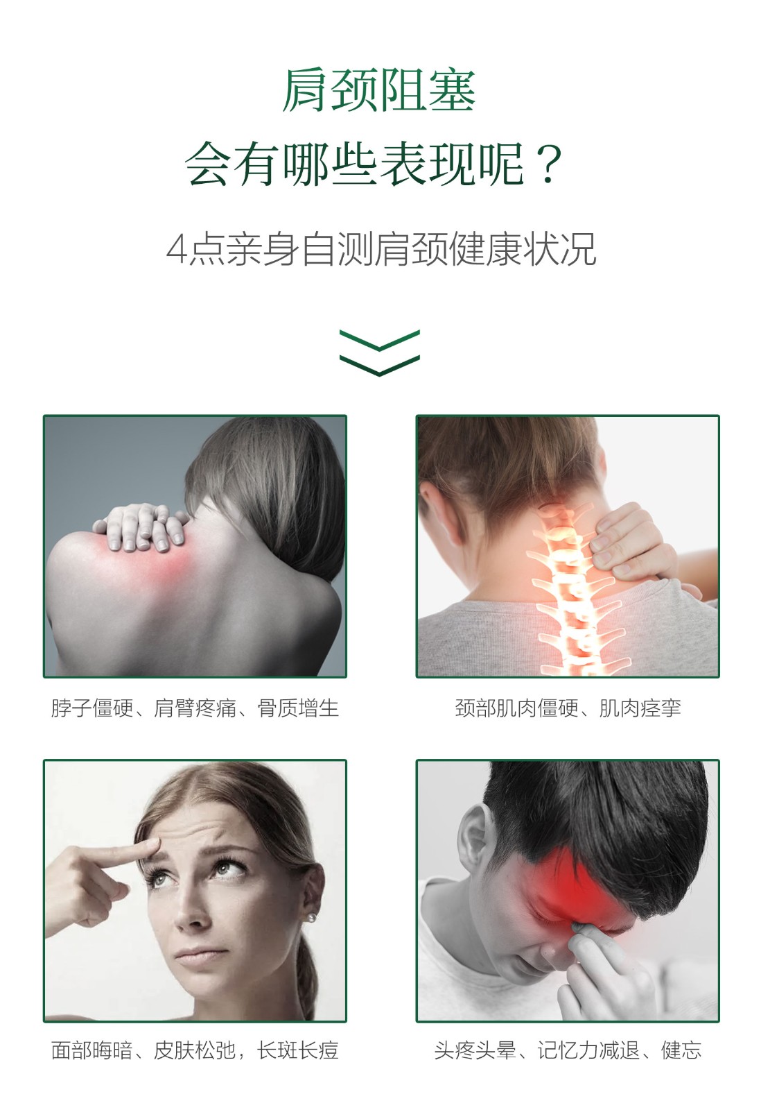 茯齡肩頸套_03.jpg
