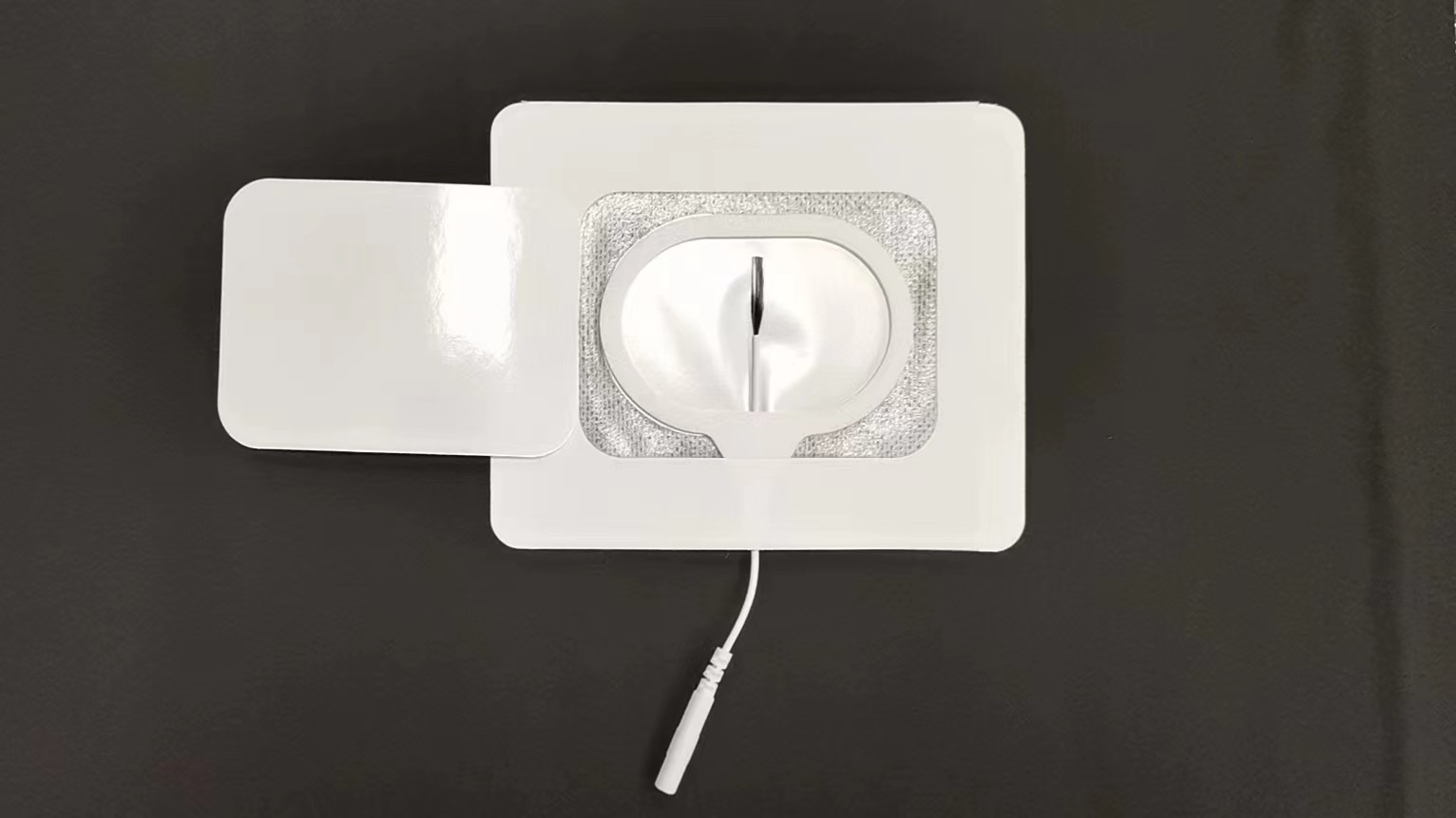 電極片1.jpg