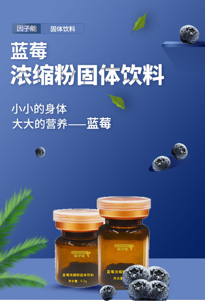 藍(lán)莓濃縮粉固體飲料.jpg