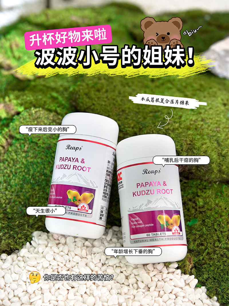 Reaps瑞普斯木瓜葛根復(fù)合壓片糖果2.jpg