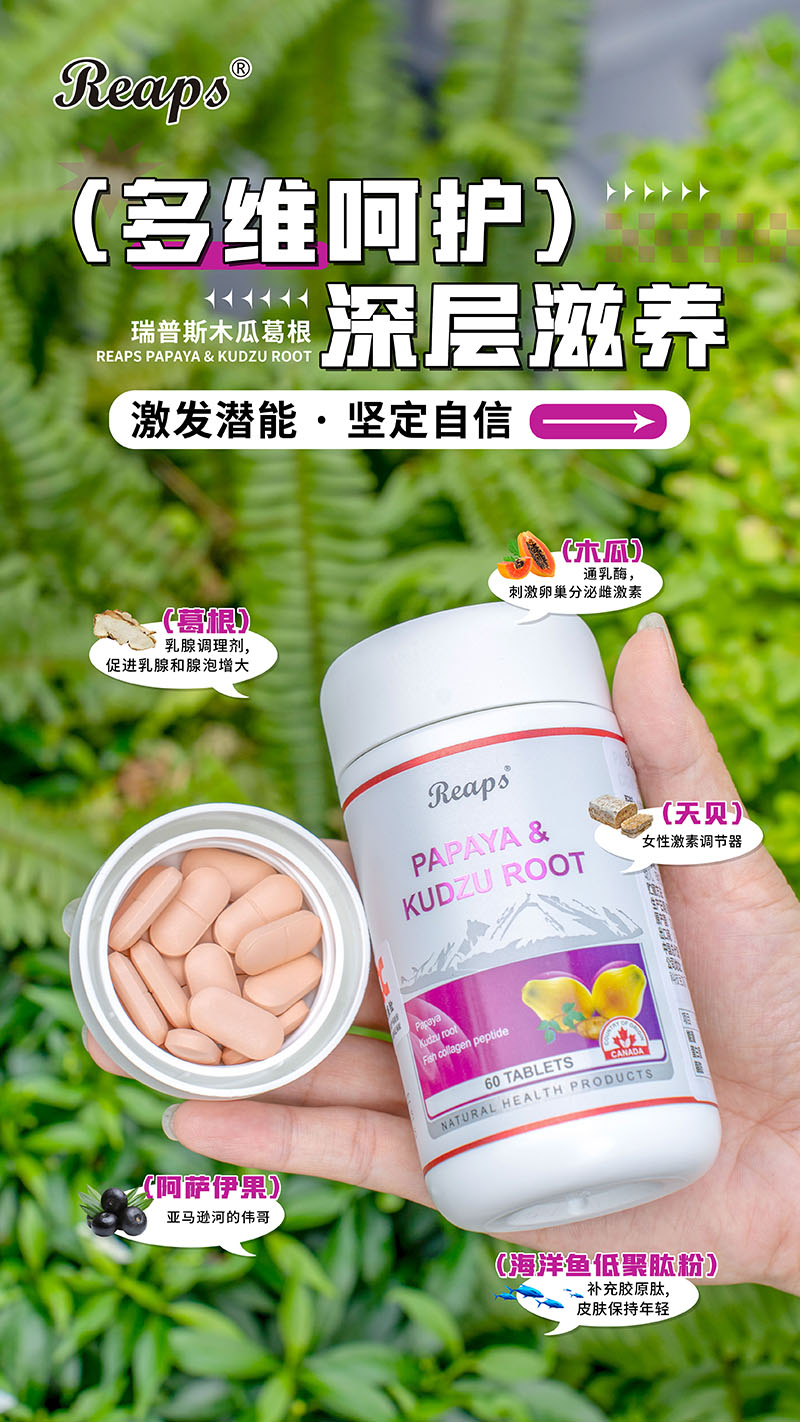 Reaps瑞普斯木瓜葛根復(fù)合壓片糖果6.jpg