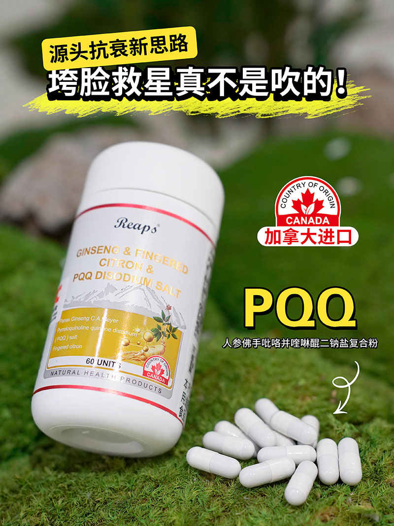 Reaps瑞普斯人參佛手吡咯并喹啉醌二鈉鹽復(fù)合粉1.jpg