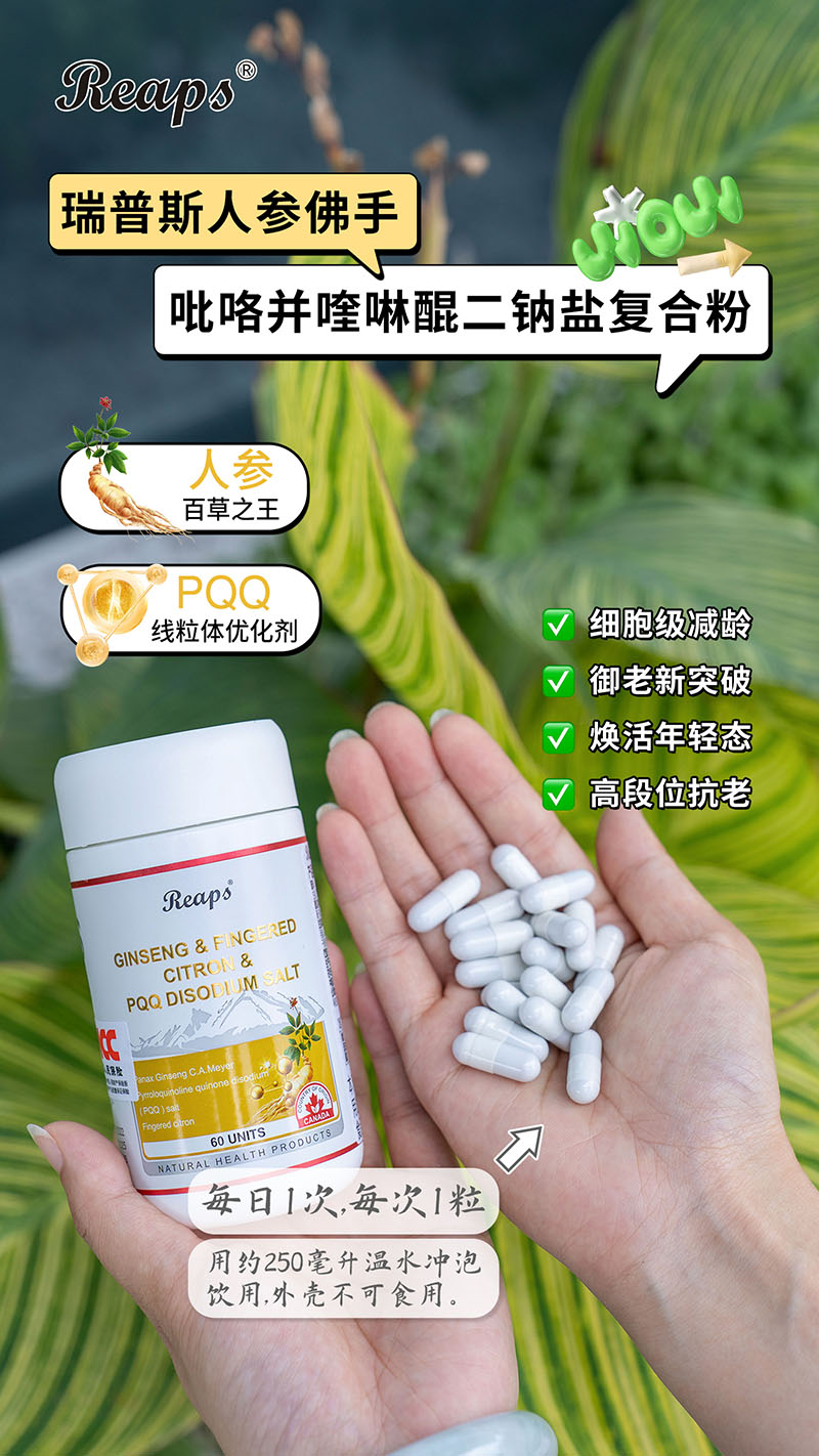 Reaps瑞普斯人參佛手吡咯并喹啉醌二鈉鹽復(fù)合粉4.jpg