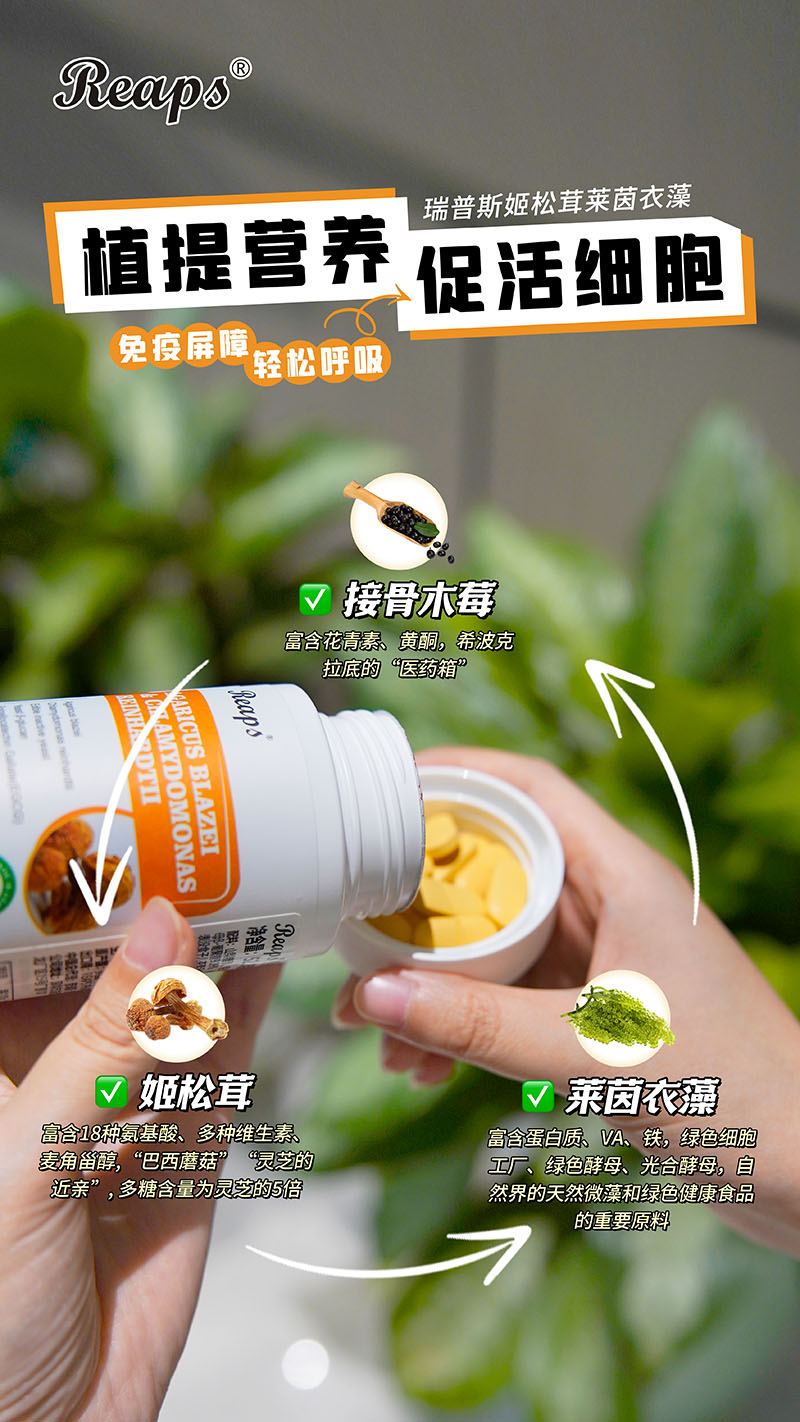Reaps瑞普斯姬松茸萊茵衣藻復(fù)合壓片糖果5.jpg