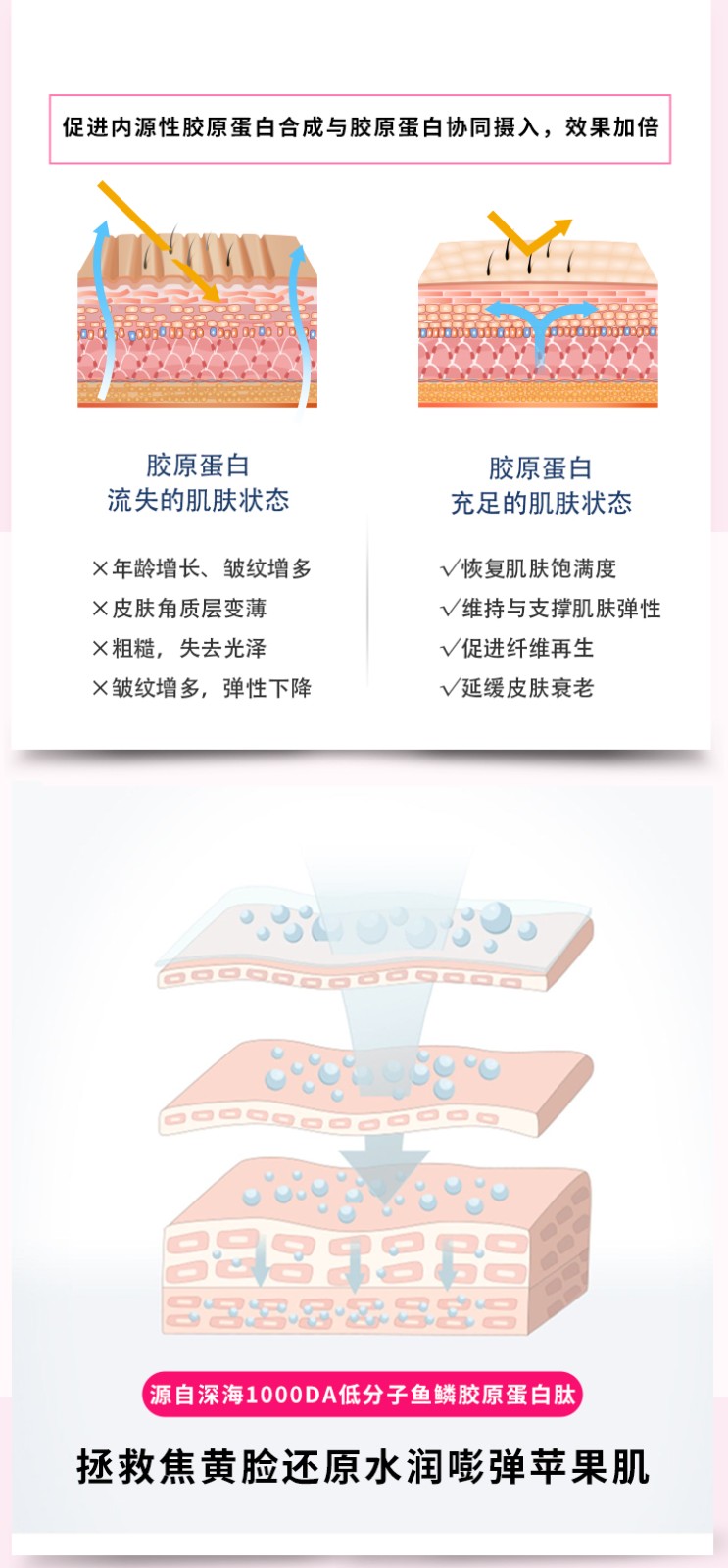 魚鱗膠原蛋白詳情頁_03.jpg