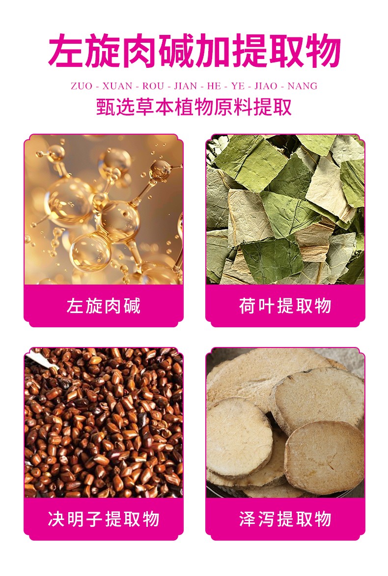 左旋肉堿荷葉膠囊詳情_(kāi)03.jpg