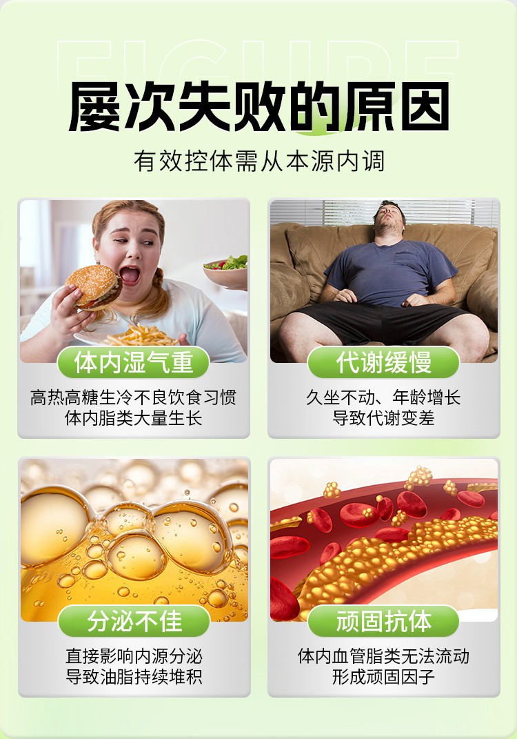 左旋肉堿茶多酚顆粒詳情_(kāi)03.jpg