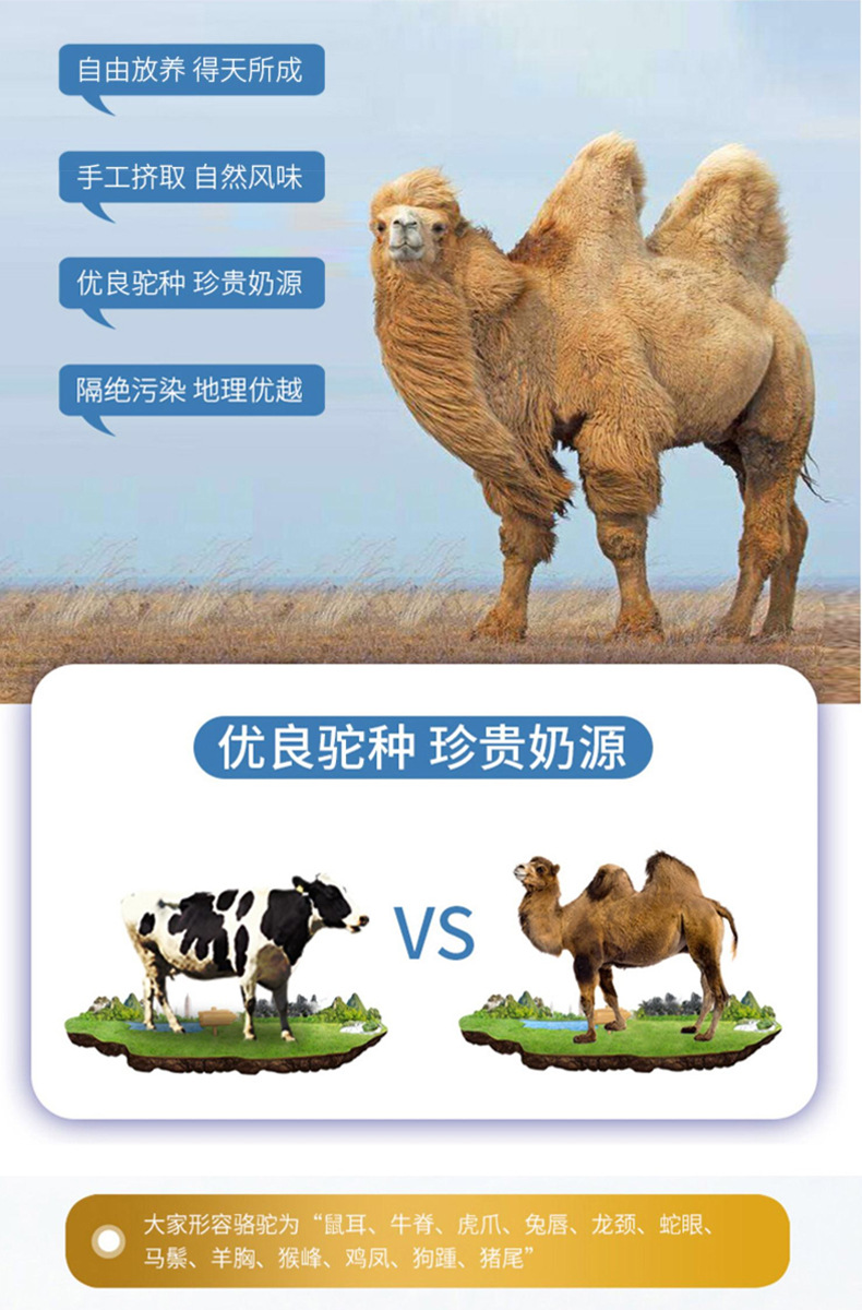 描述圖_06.jpg