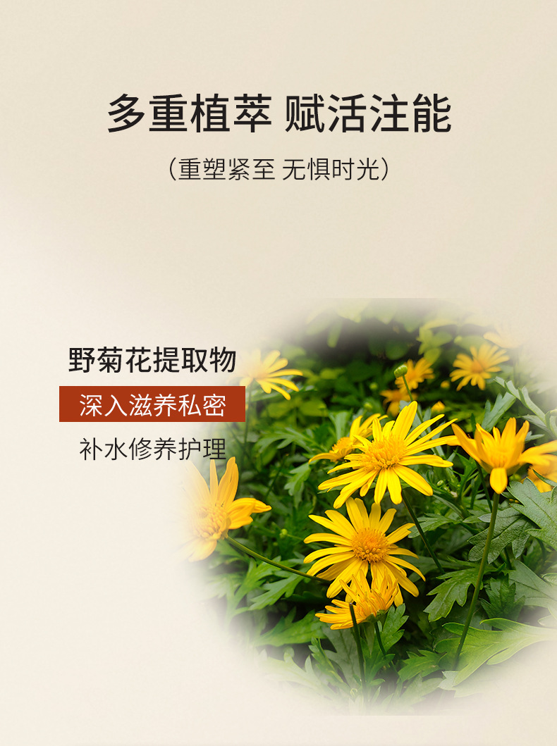 描述圖_07.jpg