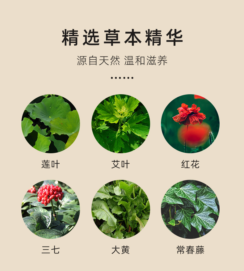 描述圖_05.jpg